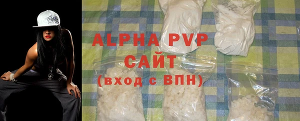 индика Ладушкин