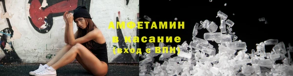 индика Ладушкин