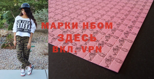 индика Ладушкин