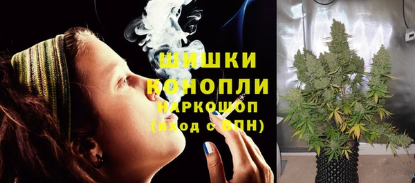 индика Ладушкин
