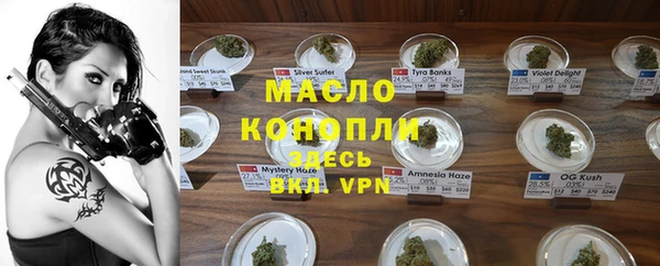 индика Ладушкин