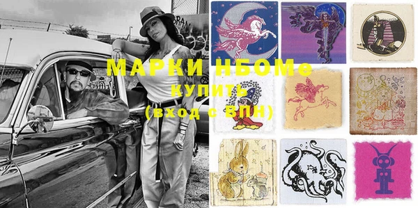 индика Ладушкин