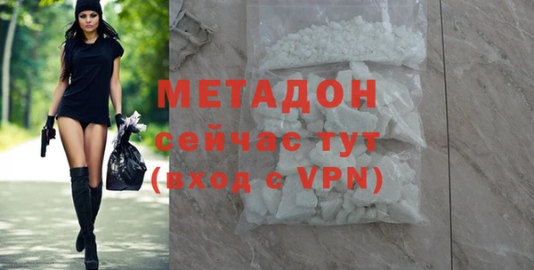 индика Ладушкин