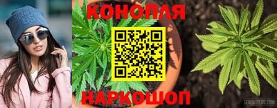 шишки Бузулук