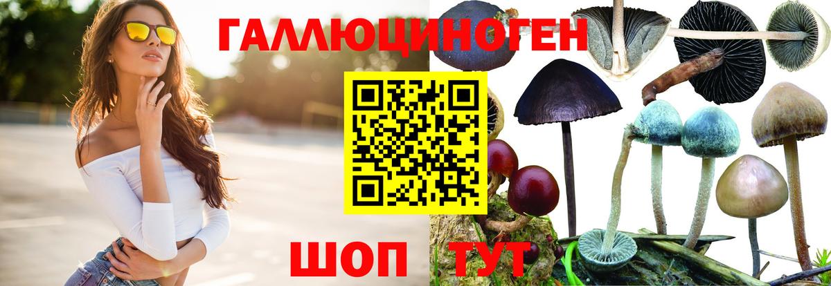 Конопля Чебоксары